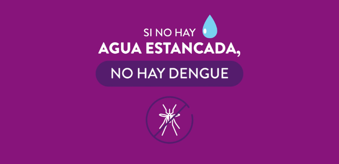 🚫 ¡Prevení el Dengue! 🦟 dengue